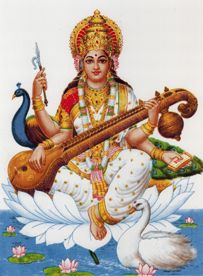 A vahana is a vehicle or the carrier of something immaterial and formless.  The vehicles of the gods and goddesses in Hinduism are animal mounts that the gods/goddesses ride.  All the Hindu gods and Hindu goddesses are represented as using vahanas to separate themselves; each vehicle is very different and even more symbolical.  Below is a list of each god and goddess that has a designated vahana, what their vahana is, and the symbolism behind the vahana.